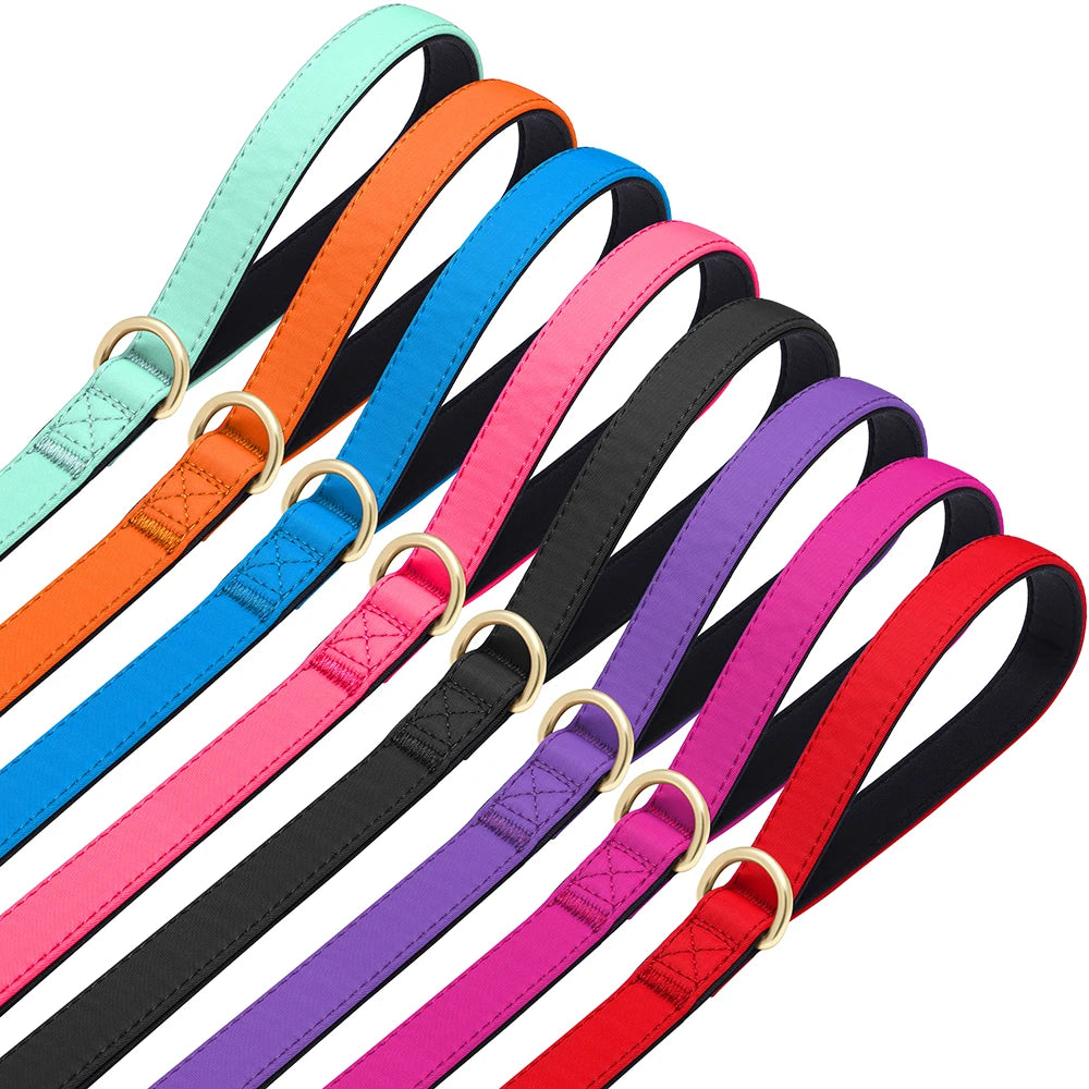 Vibrant Nylon Dog Leash – Heavy-Duty Walking Lead with Soft Padded Handle