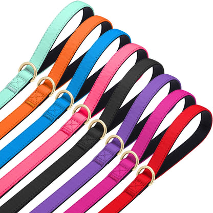 Vibrant Nylon Dog Leash – Heavy-Duty Walking Lead with Soft Padded Handle
