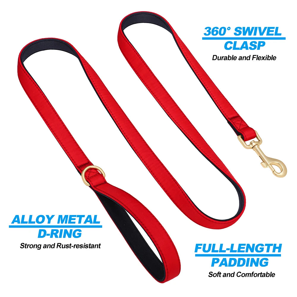 Vibrant Nylon Dog Leash – Heavy-Duty Walking Lead with Soft Padded Handle