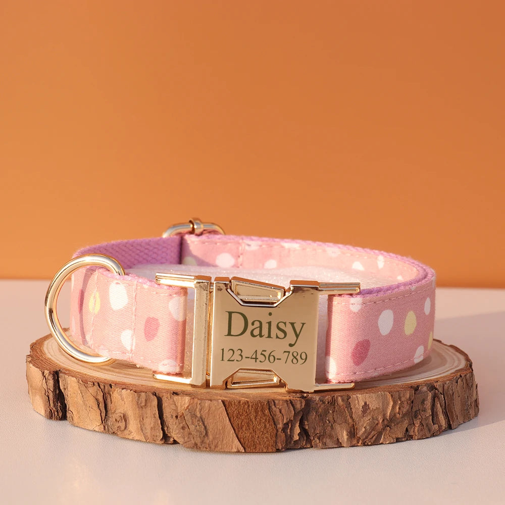 Personalized Dog Collar & Leash Set – Luxury Padded Nylon Walking Essentials with Custom Nameplate