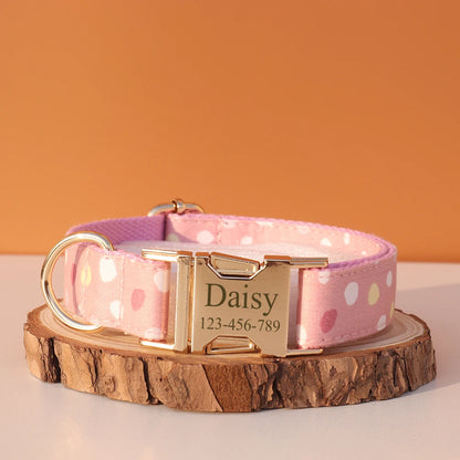Personalized Dog Collar & Leash Set – Luxury Padded Nylon Walking Essentials with Custom Nameplate
