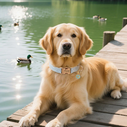 Personalized Bling Nylon Dog Collar – Custom Elegance with Flower Charm