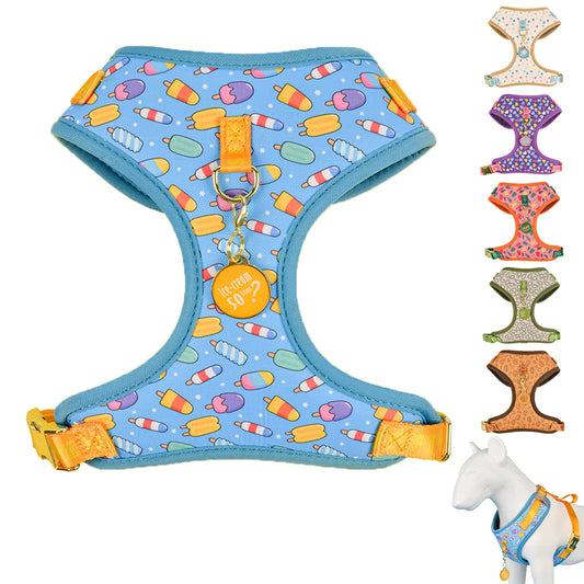 AuraCouture Luxury Printed Pet Harness – Premium Fashion Halter with Complimentary Color-Matching Tag