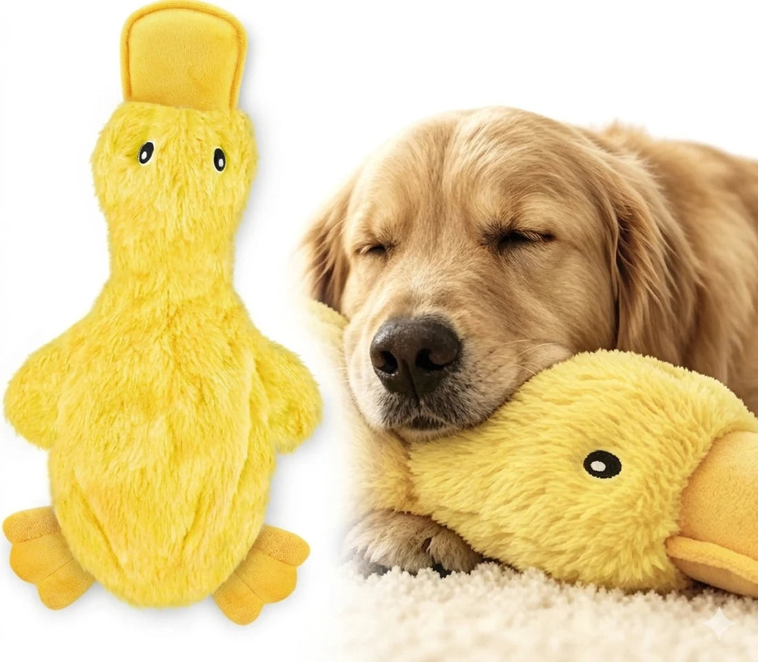 QuackBuddy Squeaky Duck Plush Toy – Interactive Teeth Grinding & Boredom Relief Companion