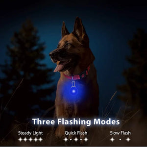 Led Dog Collar Pendant Rechargeable