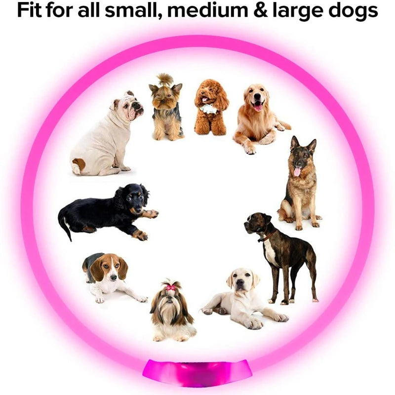 NightGlow USB Rechargeable LED Safety Collar – High-Visibility Cut-to-Fit Loss Prevention Collar