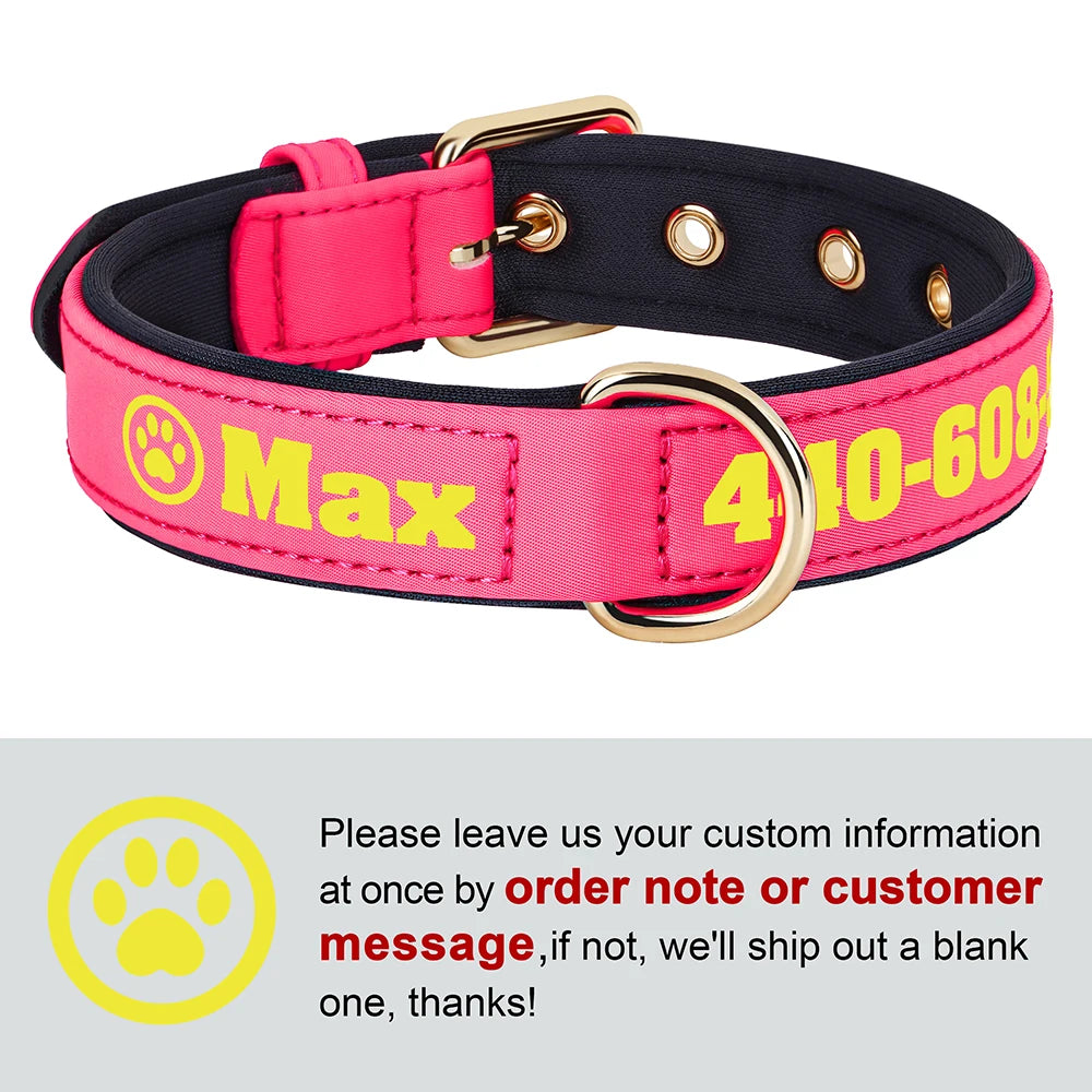 Personalized Breathable Nylon Dog Collar with Soft Padding