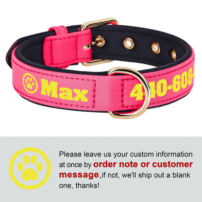 Personalized Breathable Nylon Dog Collar with Soft Padding
