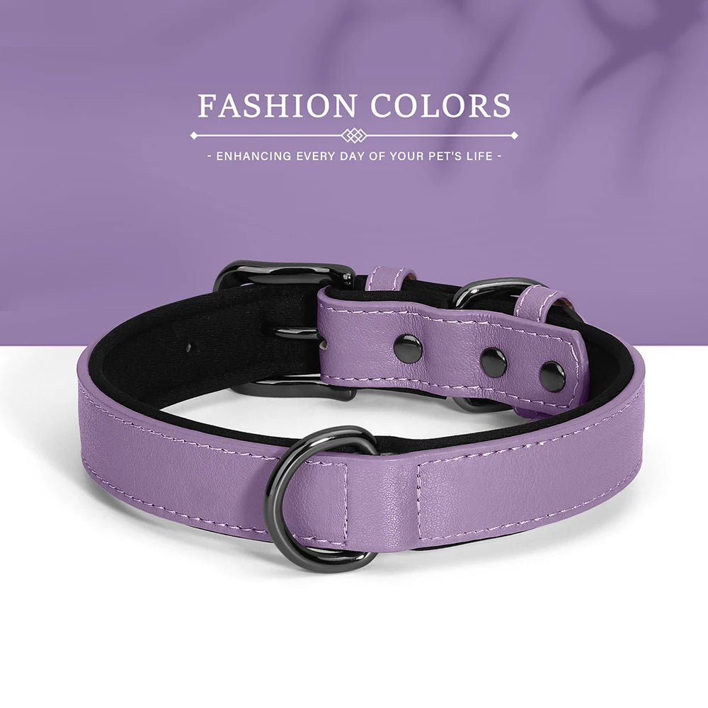 Soft Padded PU Leather Dog Collar – Stylish Comfort for All Breeds