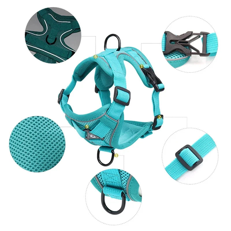 StrutStyle Fashion Reflective Mesh Harness & Leash Set – Premium Padded Outdoor Comfort for Cats and Small Dogs