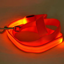 Load image into Gallery viewer, LED Glowing Dog Leash