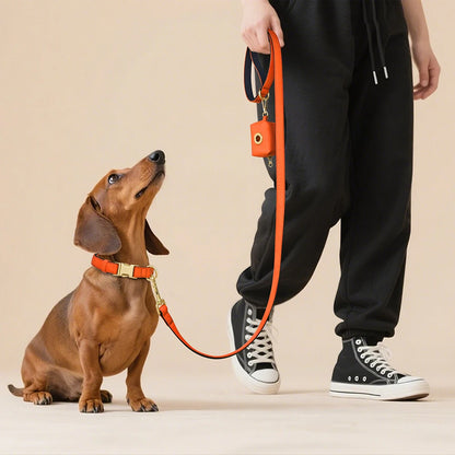 Vibrant Nylon Dog Leash – Heavy-Duty Walking Lead with Soft Padded Handle