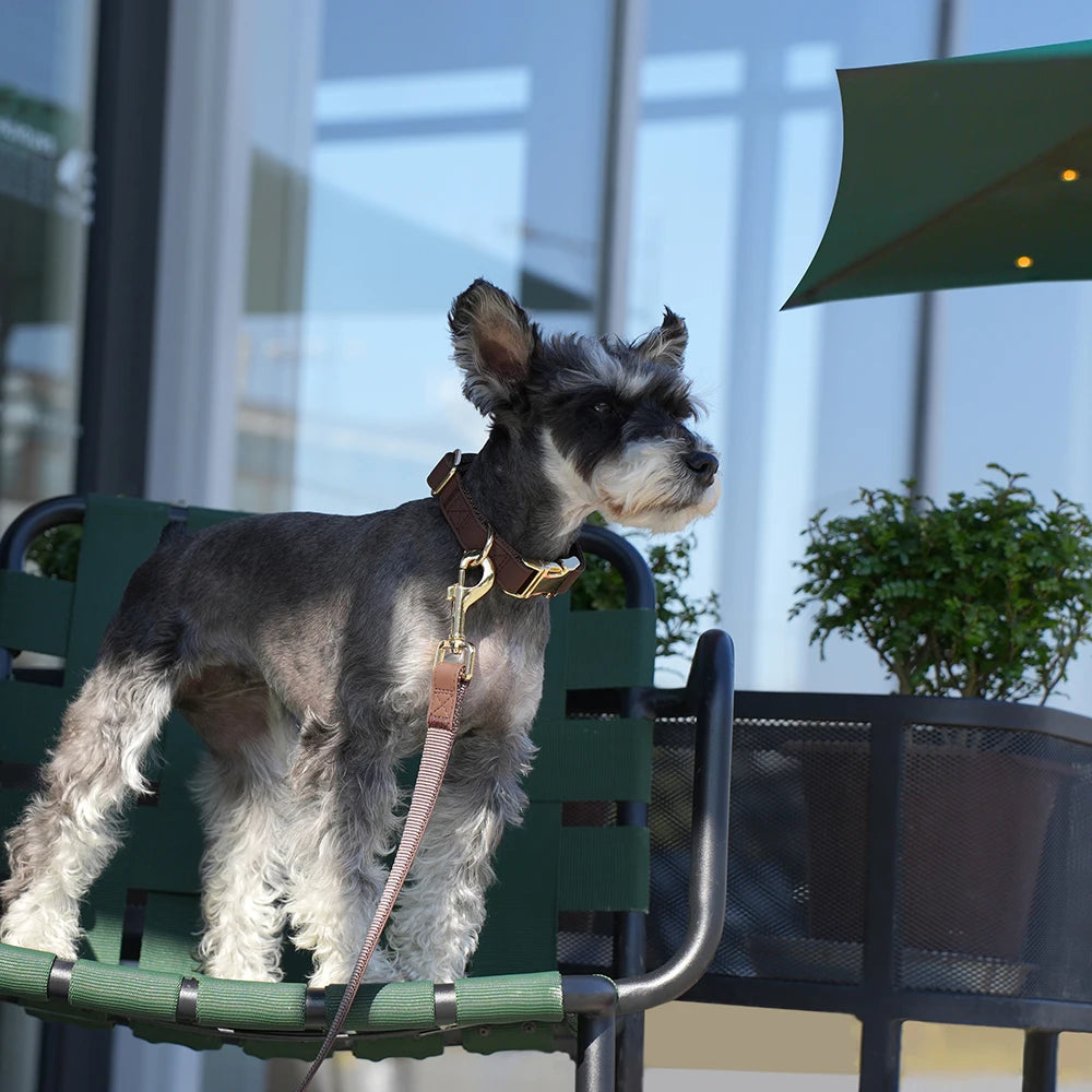 Personalized PU Leather Dog Collar & Leash Set - Durable Elegance for Every Pup