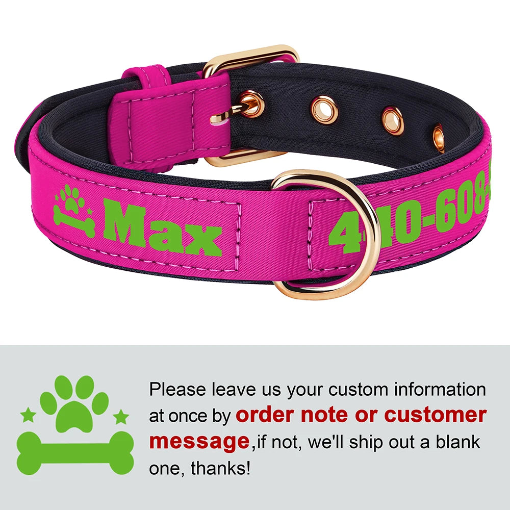 Personalized Breathable Nylon Dog Collar with Soft Padding
