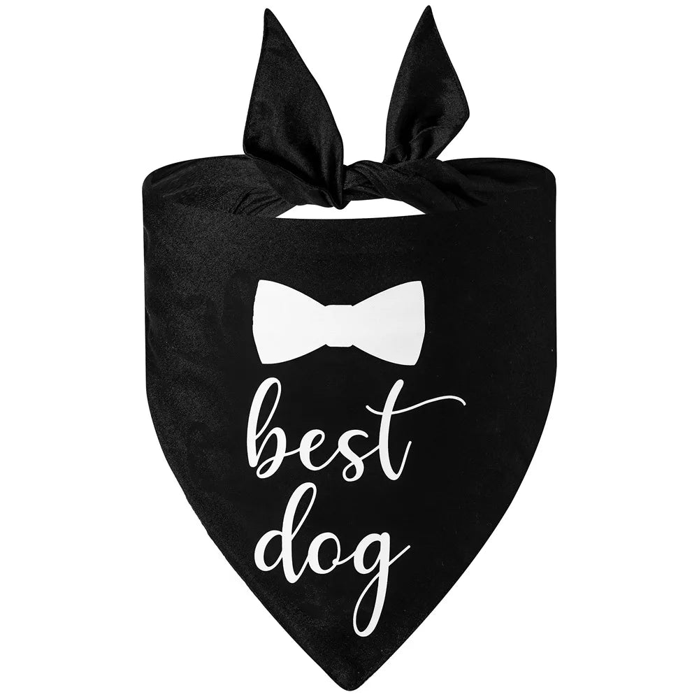 EverAfter Engagement & Wedding Pet Bandana – Charming Announcement Triangle Scarf