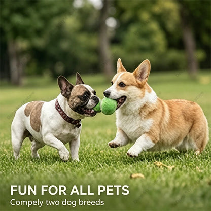 ToughBounce Heavy-Duty Tennis Ball Toys – Durable Rubber Chewing & Teething Balls (4-Pack)