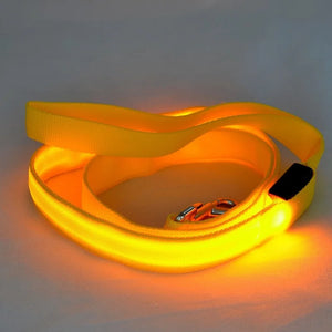 LED Glowing Dog Leash