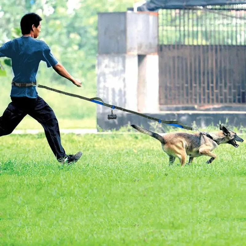 Reflective Leash Rope Dog Running Belt