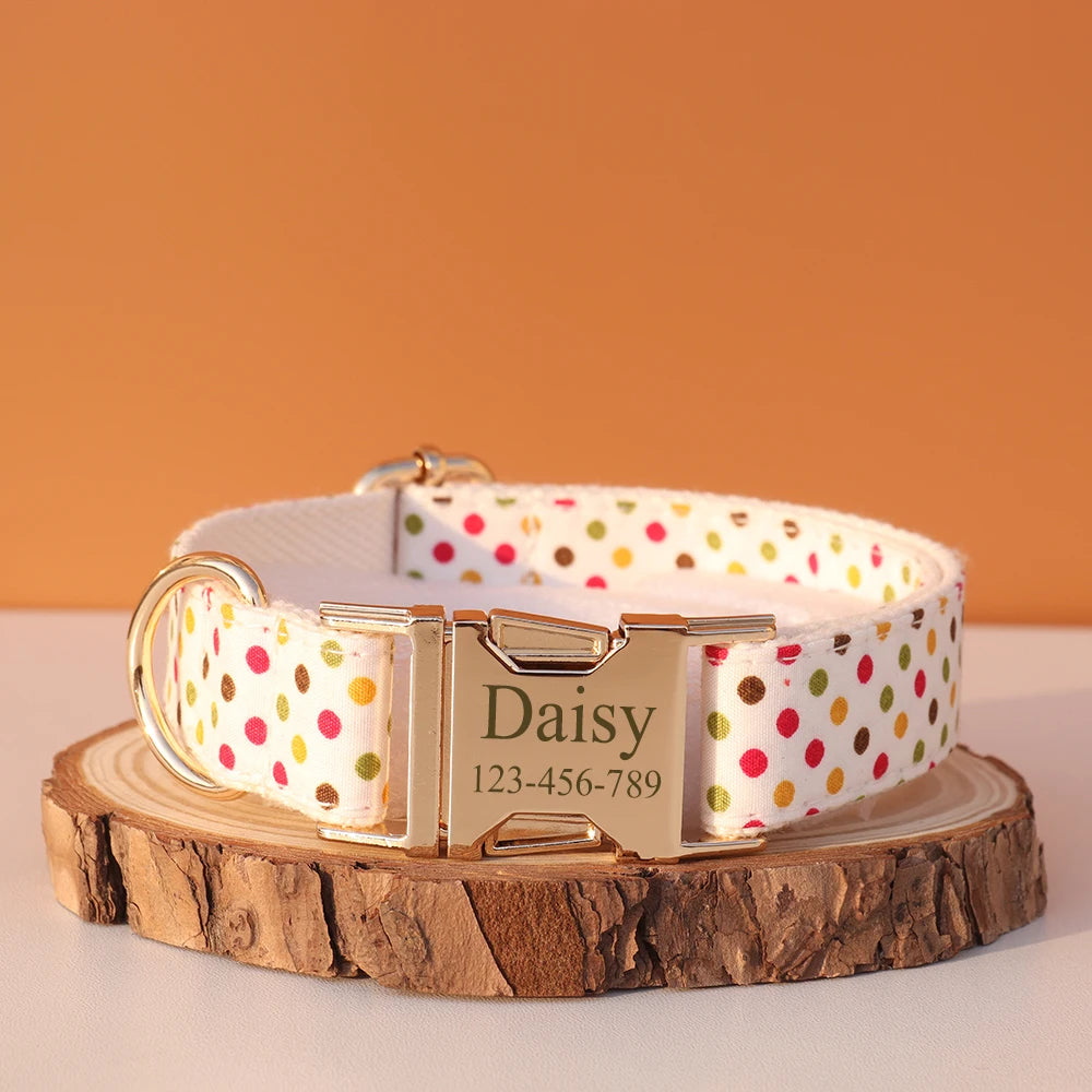 Personalized Dog Collar & Leash Set – Luxury Padded Nylon Walking Essentials with Custom Nameplate
