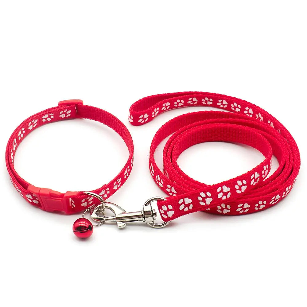 Adjustable Printed Collar & Leash Set – Ultimate Outdoor Freedom for All Life Stages