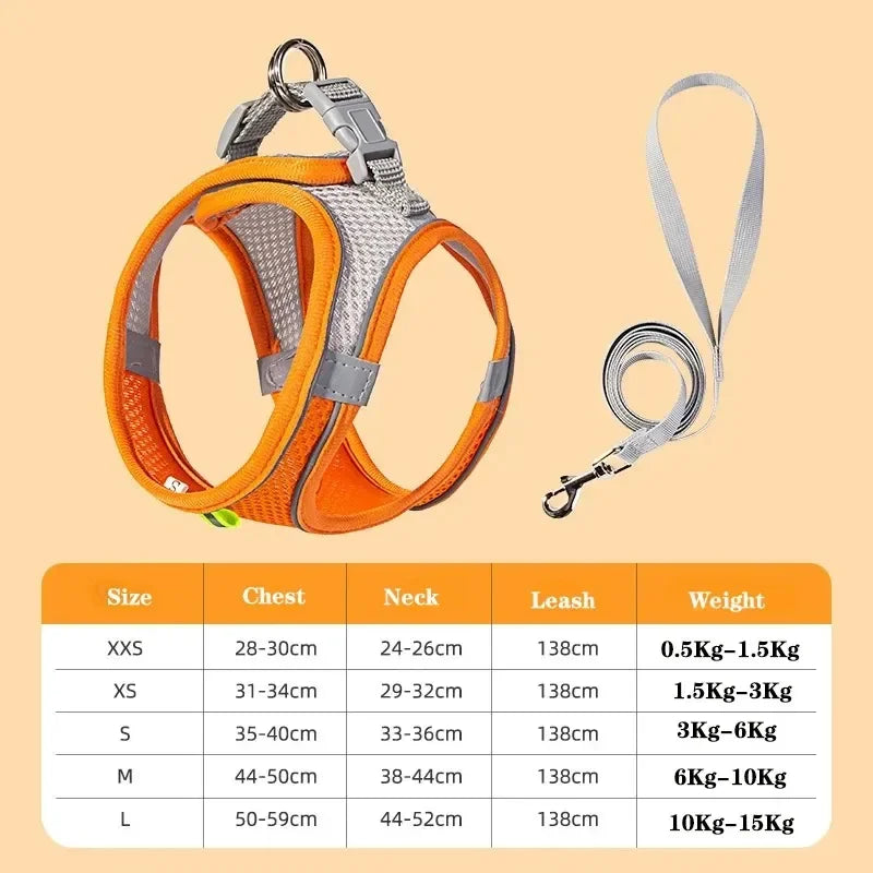 AirStride Breathable Mesh Vest Harness – Soft & Adjustable Training Harness for Dogs & Cats