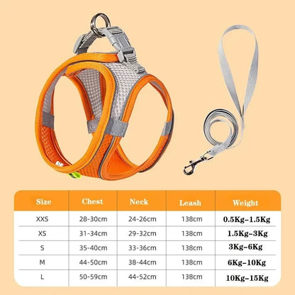 AirStride Breathable Mesh Vest Harness – Soft & Adjustable Training Harness for Dogs & Cats