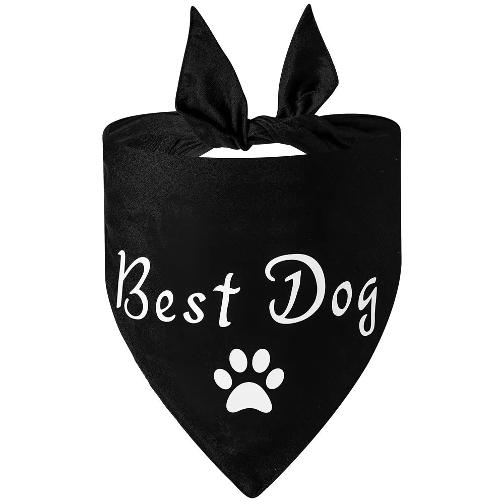 EverAfter Engagement & Wedding Pet Bandana – Charming Announcement Triangle Scarf