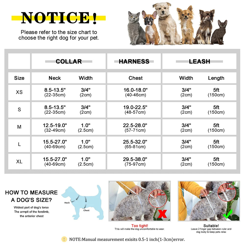 Personalized Leather Harness & Leash Set with Bag - Comfort & Style for Every Adventure