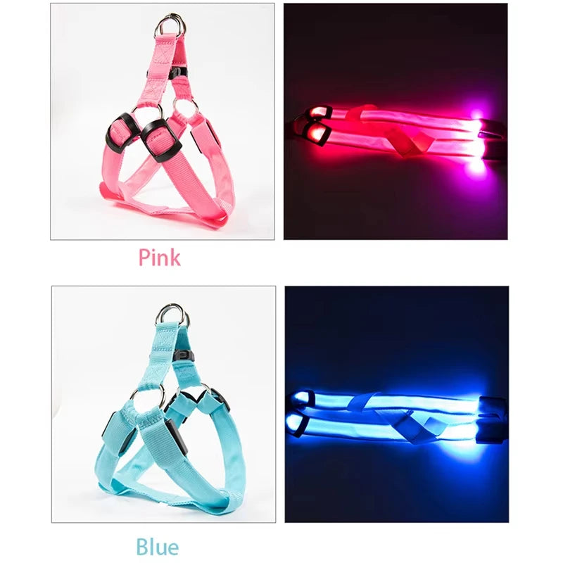 LumiPaws LED Safety Harness – Adjustable No-Pull Night-Glow Vest