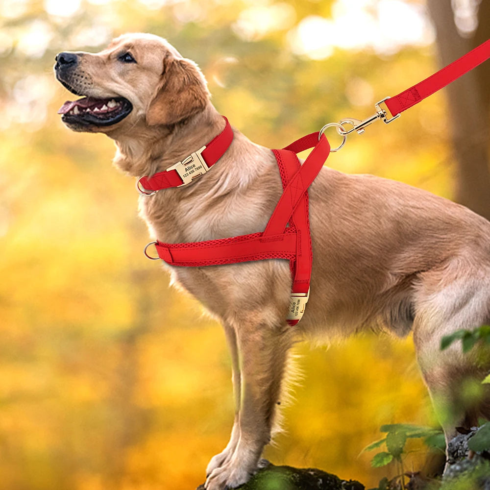 Personalized Leather Harness & Leash Set with Bag - Comfort & Style for Every Adventure