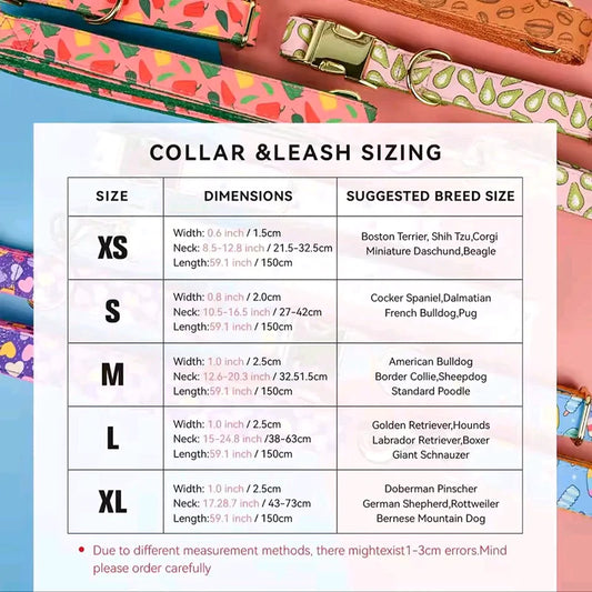 Vibrant Paws Luxury Double-Sided Collar & Leash Set – Adjustable and Colorful for All Dogs