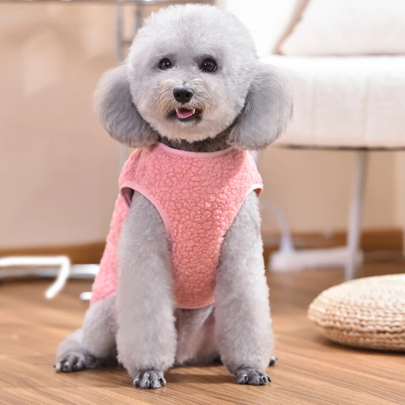 Bear & Berry Cozy Fleece Pet Vest – Soft Autumn Warmth for Small & Medium Breeds