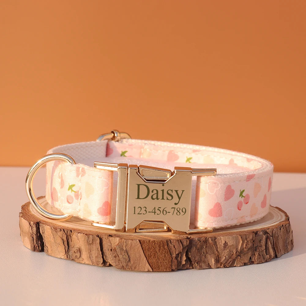 Personalized Dog Collar & Leash Set – Luxury Padded Nylon Walking Essentials with Custom Nameplate