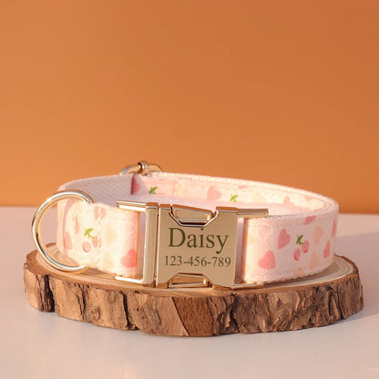 Personalized Dog Collar & Leash Set – Luxury Padded Nylon Walking Essentials with Custom Nameplate