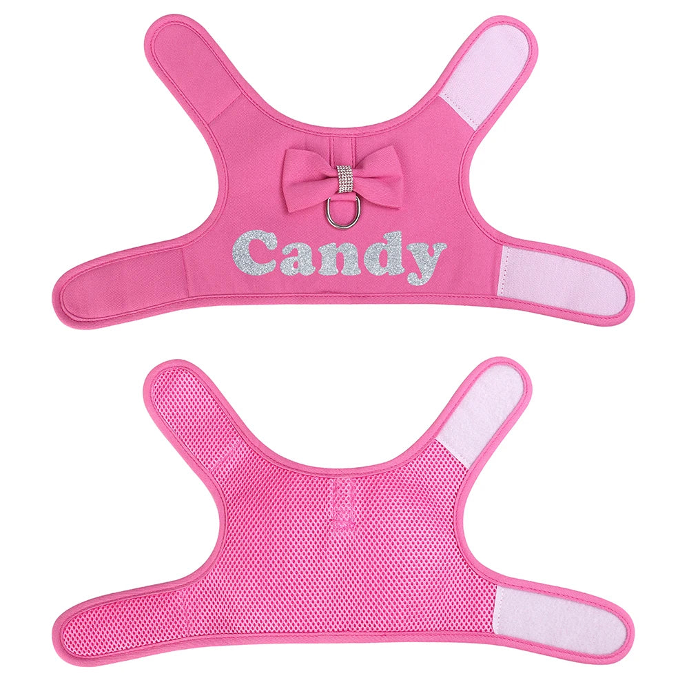 BowKnot Bliss: Personalized Mesh Harness & Leash Set for Stylish Pups - Barking Meows
