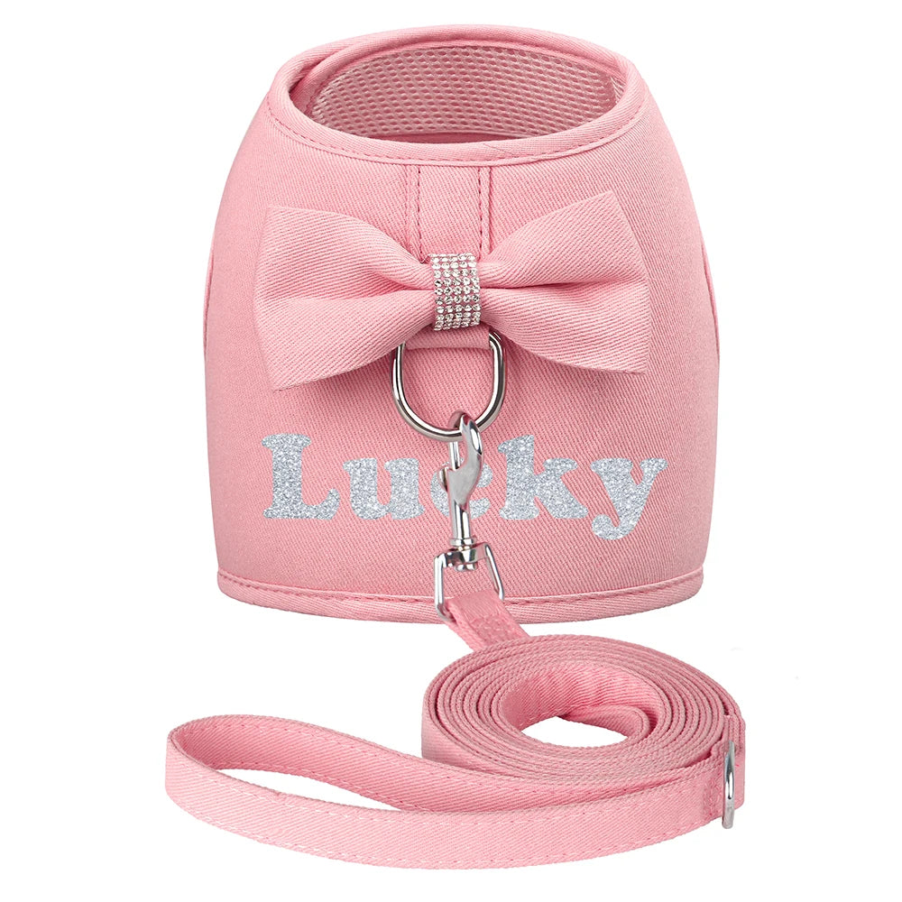 BowKnot Bliss: Personalized Mesh Harness & Leash Set for Stylish Pups - Barking Meows