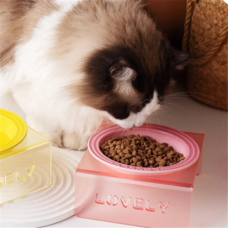 French Flair Gradient Ceramic Pet Plate – Colorful Pre-Dinner Dining Bowl for Dogs and Cats