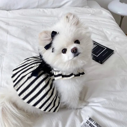LuxePaws Striped Princess Dress – Chic Summer Vest Skirt for Small Dogs