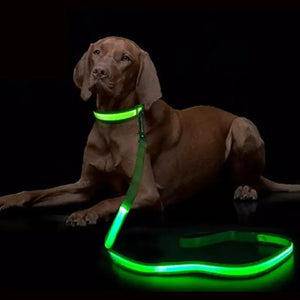 LED Light Up Dog Leash Luminous Rope Lead Leash For Dog Safety Flashing Glowing Dog Collar Harness Electronic Pet Accessories