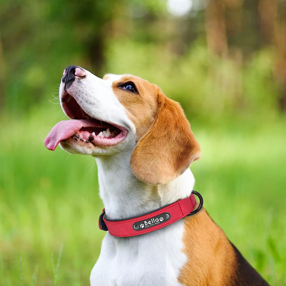 Personalized Comfort PU Leather Dog Collar - Free Engraved Paw Necklace