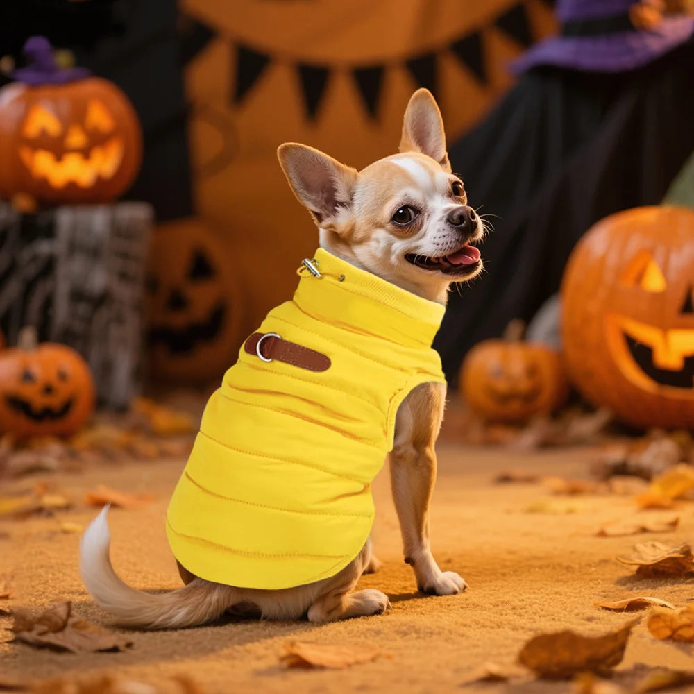 Cozy Furry Winter Vest for Small to Medium Dogs & Cats