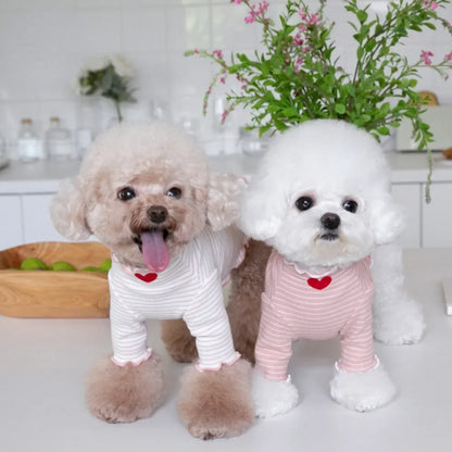 CozyStripe Embroidered Wool Pet T-Shirt – Sweet Autumn/Winter Elegance