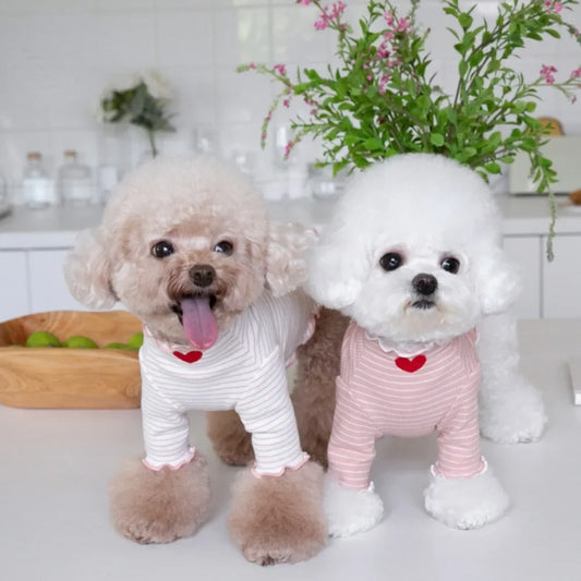 CozyStripe Embroidered Wool Pet T-Shirt – Sweet Autumn/Winter Elegance