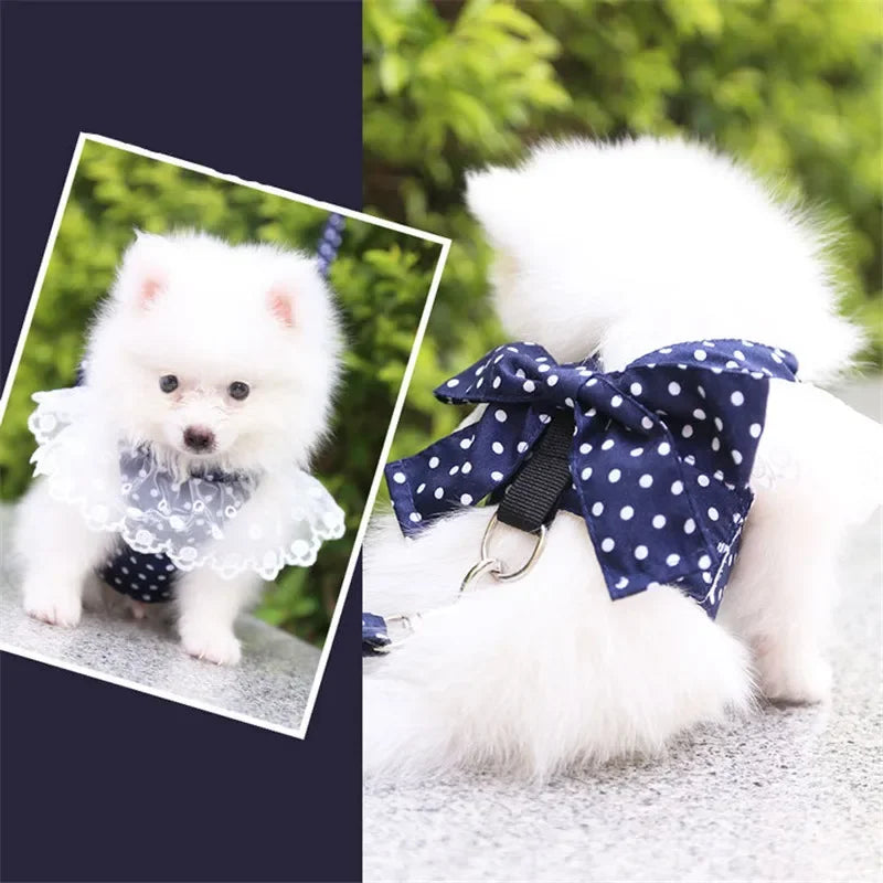 VelvetBow Striped Vest Harness & Leash Set – Charming Comfort for Small Dogs and Cats