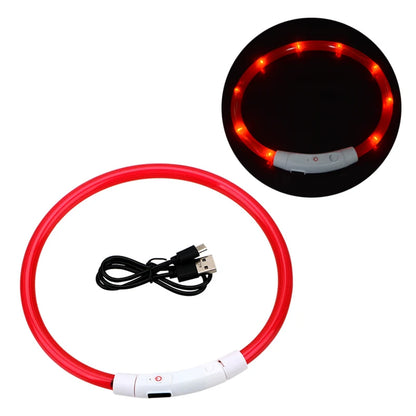 NightGlow USB Rechargeable LED Safety Collar – High-Visibility Cut-to-Fit Loss Prevention Collar