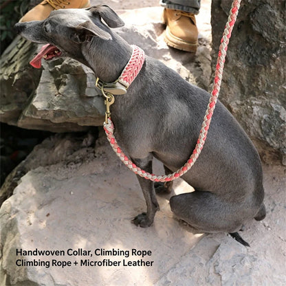 Luxury Hand-Woven Leash or Collar – Heavy-Duty Climbing Rope & Adjustable Leather Walkwear