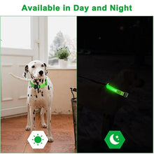 Load image into Gallery viewer, LED Glowing Dog Collar