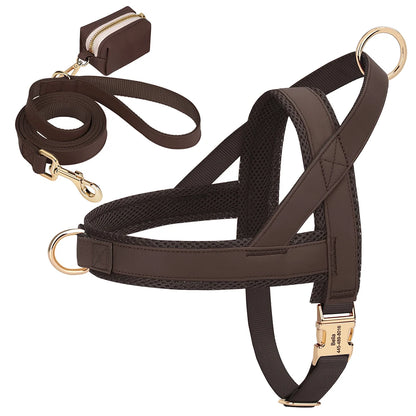 Personalized Leather Harness & Leash Set with Bag - Comfort & Style for Every Adventure