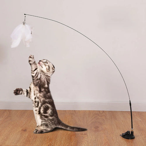 Interactive Cat Toy Handfree Teaser Wand Bird/Feather