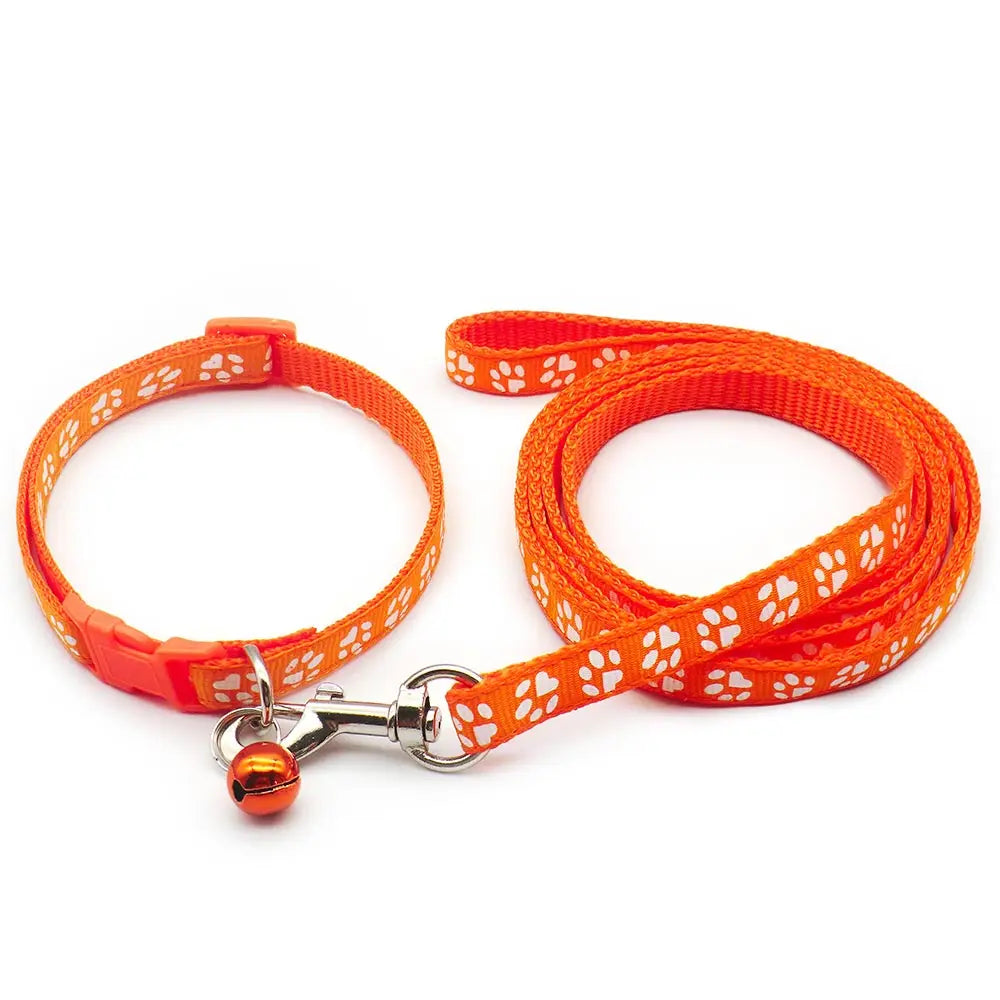 Adjustable Printed Collar & Leash Set – Ultimate Outdoor Freedom for All Life Stages